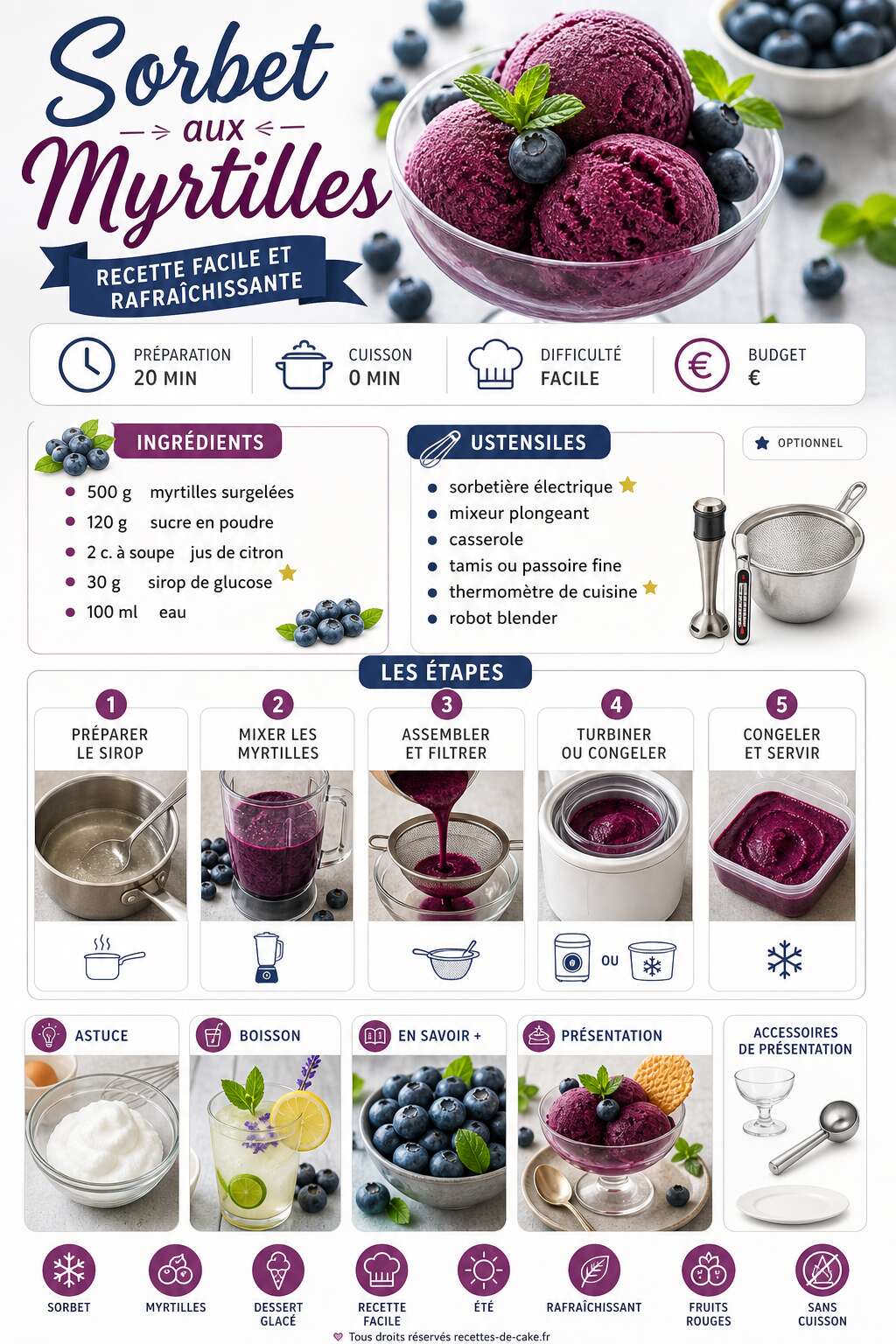 Fiche recette Sorbet aux myrtilles : recette facile et rafraîchissante Fiche recette Sorbet aux myrtilles : recette facile et rafraîchissante