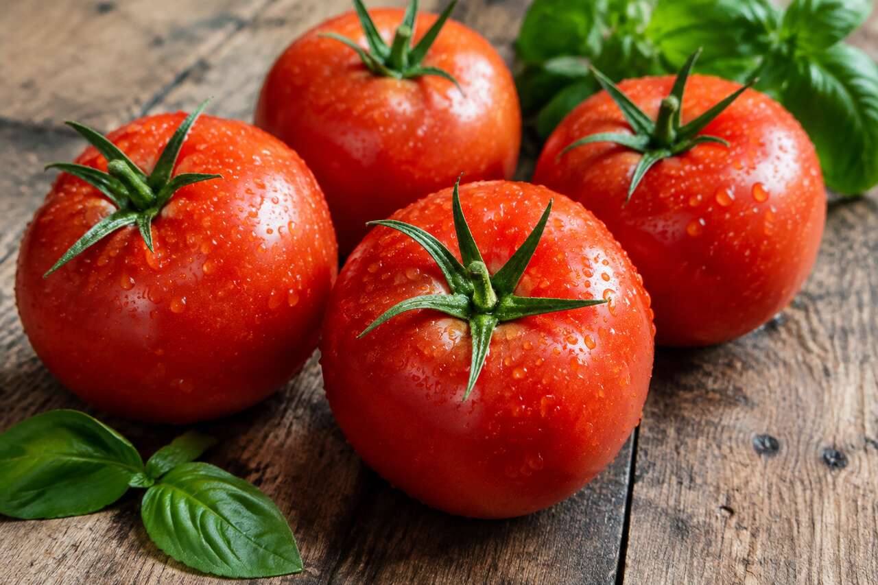 Choisir et préparer les tomates avant congélation Choisir et préparer les tomates avant congélation